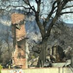 Representative Image. Aftermath of Eaton Fire. Photo Source: Maya Golden-Krasner/Center for Biological Diversity