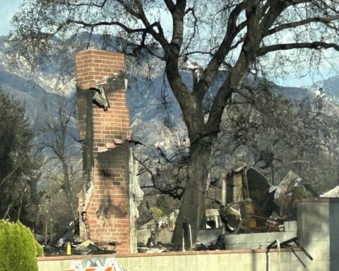 Representative Image. Aftermath of Eaton Fire. Photo Source: Maya Golden-Krasner/Center for Biological Diversity