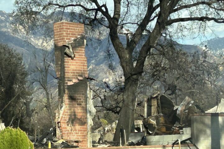 Representative Image. Aftermath of Eaton Fire. Photo Source: Maya Golden-Krasner/Center for Biological Diversity