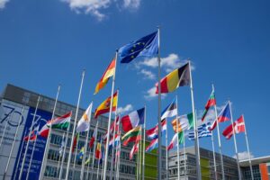 Representative image of flags of European Union countries. Photo Source: Gintarė Kairaitytė (Pexels)