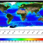 Global product generated at 1km resolution using data for the period Jan-Dec 2024.