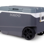 Recalled Igloo Photo Source: United States Consumer Product Safety Commission