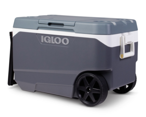 Recalled Igloo Photo Source: United States Consumer Product Safety Commission