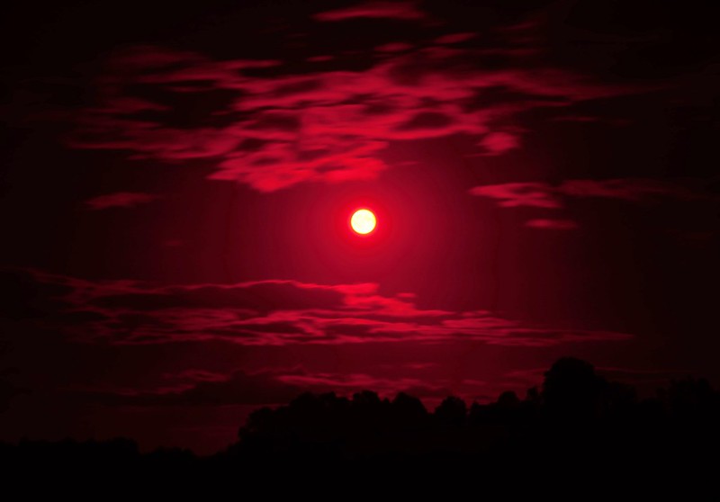 Representative Image: Blood moon. Photo Source: