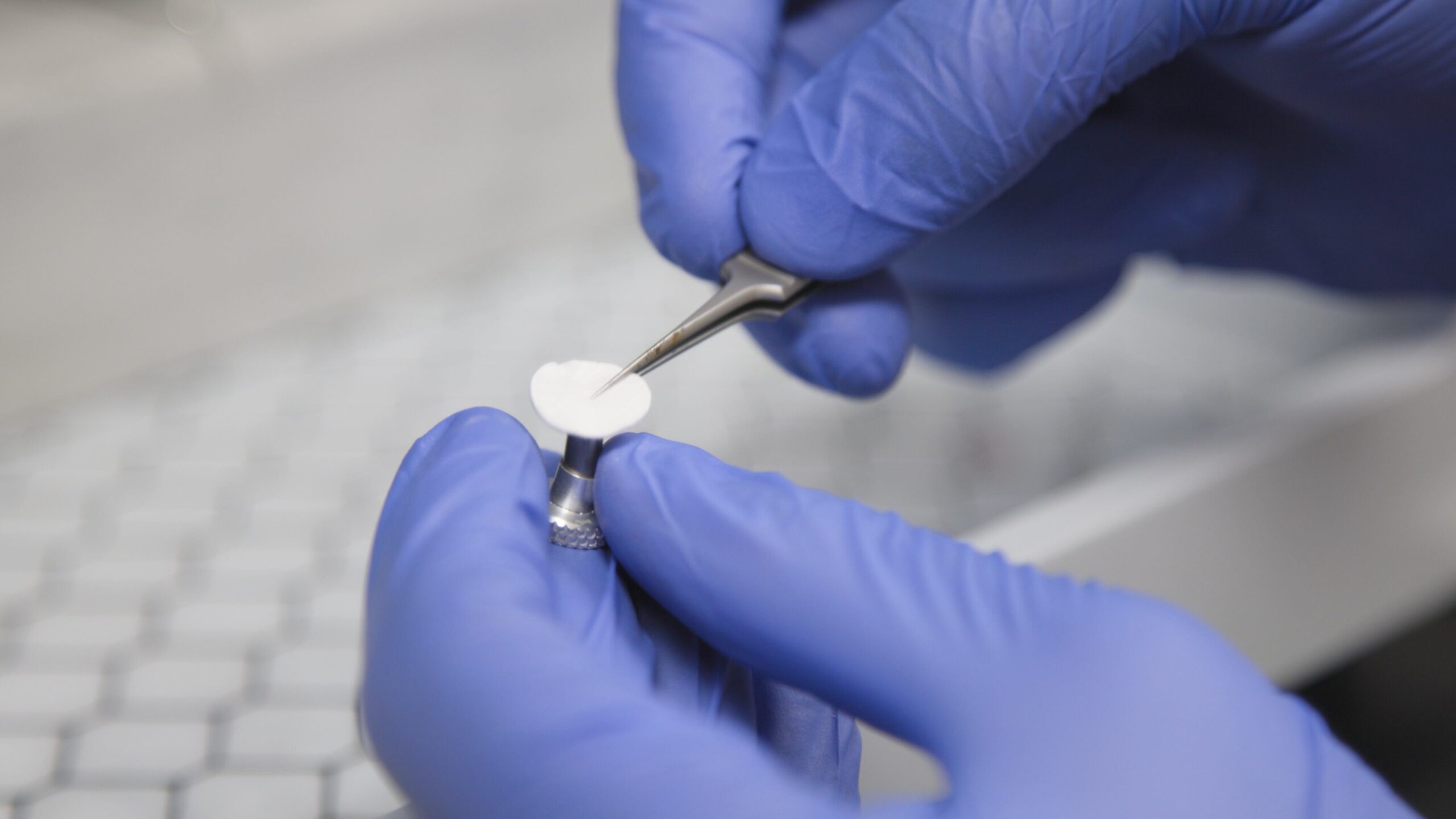 Gloved hands carefully handle a small, white sample with tweezers. Photo Source: University of New Mexico