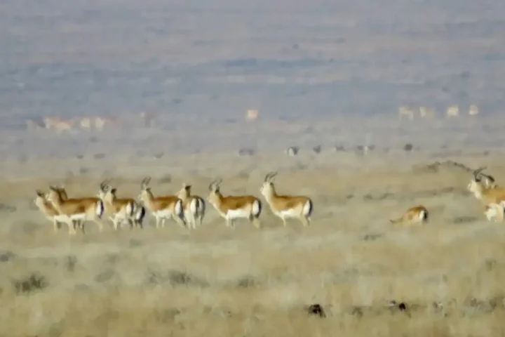 Photo credit: the Ministry of Ecology and Natural Resources of the Republic of Kazakhstan