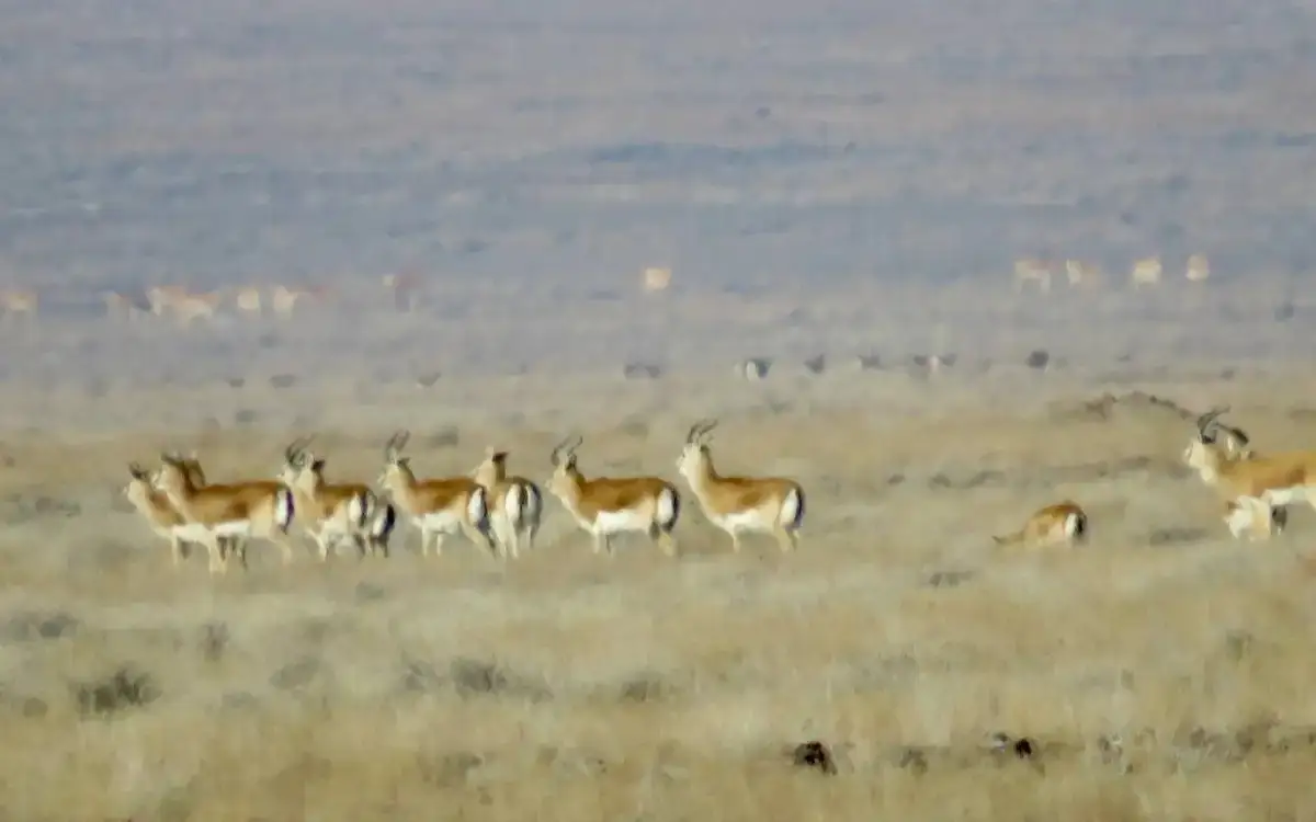 Photo credit: the Ministry of Ecology and Natural Resources of the Republic of Kazakhstan