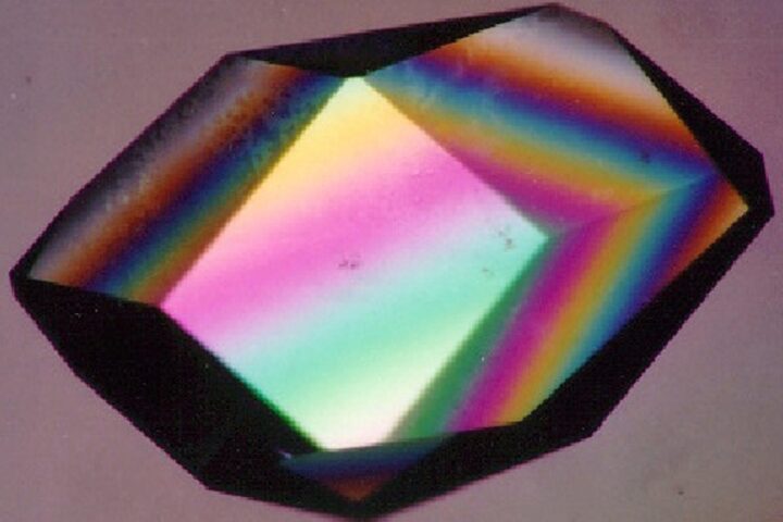 A Lysozyme crystal grown in microgravity, viewed under a microscope using X-ray crystallography. Photo Source: NASA