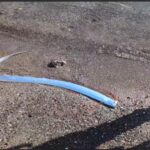 Rare Oarfish Spotted in colifornia beach. Photo Source: StoryfulViral Platform Youtube