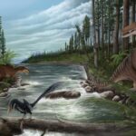 Representative Image. Cretaceous Australia Landscape. Artwork by Jonathan Metzger. Photo Source: Museums Victoria