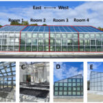 Renewable energy technology