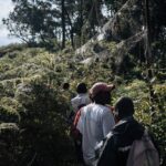 A group of people walking through dense, green vegetation in a forest, with large spider webs hanging between trees. Photo Source: Alexis Huguet/Rainforest Foundation Norway.