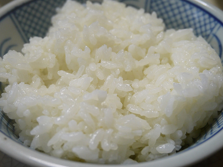 Representative image. cooked rice in white and blue ceramic bowl. Photo Source: pick pik (public domain).