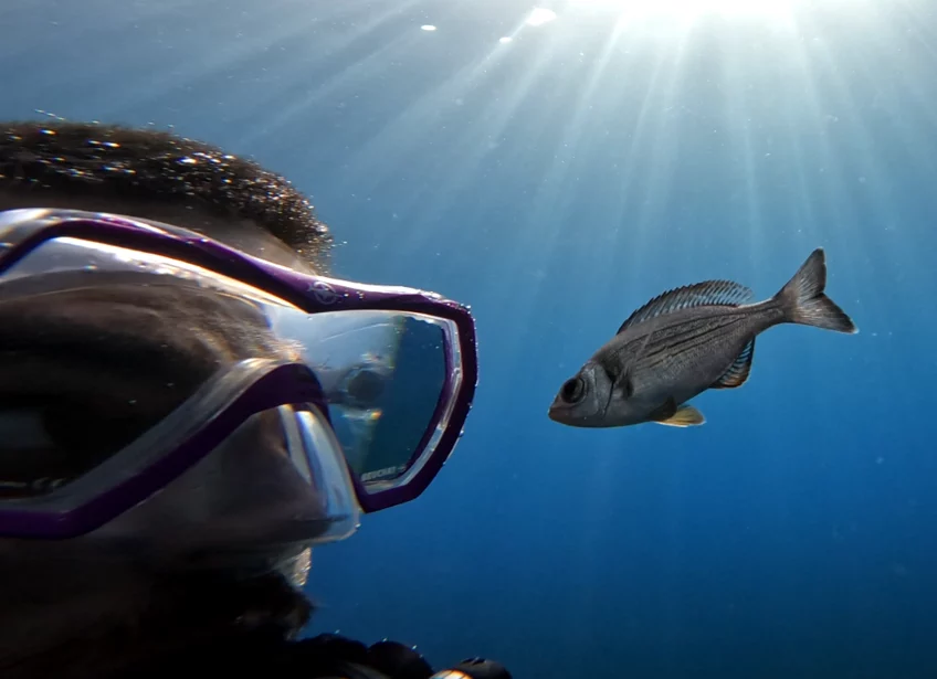 Study author, Maëlan Tomasek, with a “volunteer” in the experiment conducted in the Mediterranean Sea. © MPI of Animal Behavior/ Maëlan Tomasek