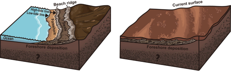 Two diagrams showing the process of foreshore deposition and the formation of beach ridges and swales over time.Photo Source - UC Berkeley News