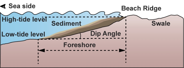 A cross-sectional diagram of a beach showing various features and levels. Photo Source - UC Berkeley News