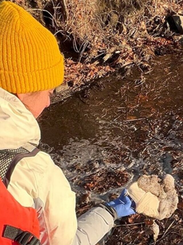 UNH Finds Waterway Foam with PFAS Levels 70x Higher