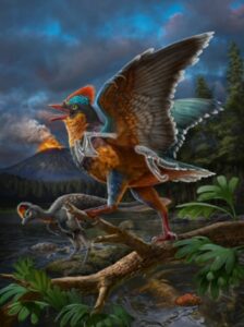 Life reconstruction of the Jurassic bird Baminornis zhenghensis from the Zhenghe Fauna