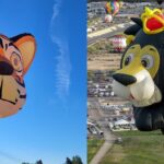 The two special shaped balloons, Simba the Lion and Axel the Tiger.