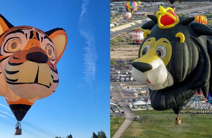 The two special shaped balloons, Simba the Lion and Axel the Tiger.