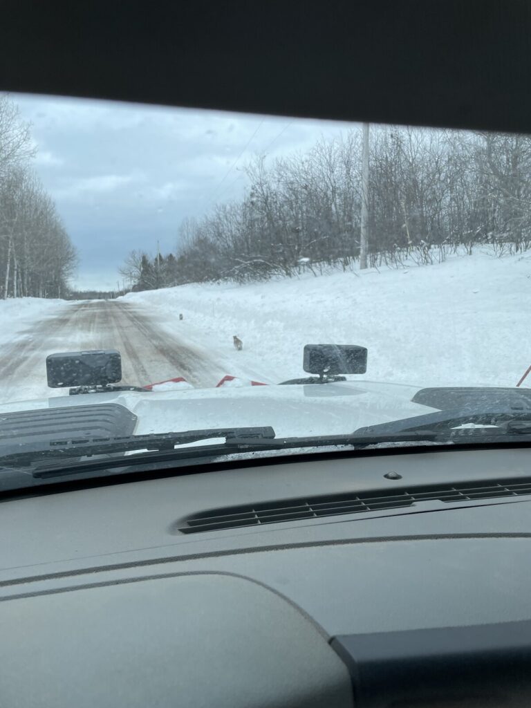 A  snow-covered landscape captured from a vehicle. Photo Source - GOVDelivery