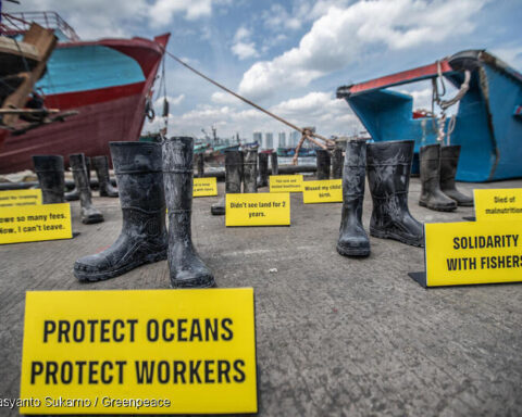 Boots to boost justice, Photo Source: Greenpeace