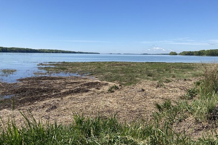 Representative image: Wharton Point, Brunswick, Maine. Sources: Seasider53, License: CC BY-SA 4.0