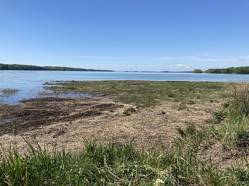 Representative image: Wharton Point, Brunswick, Maine. Sources: Seasider53, License: CC BY-SA 4.0