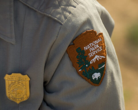 Representative Image: NPS/Kurt Moses. Photo Source: Joshua Tree National Park (CC BY 2.0)