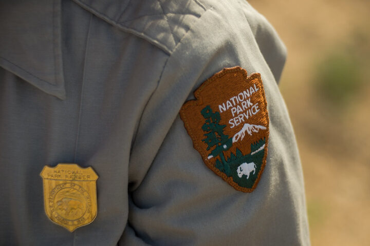 Representative Image: NPS/Kurt Moses. Photo Source: Joshua Tree National Park (CC BY 2.0)