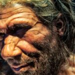 A lifelike model of a Neanderthal. Photo Source: Neil Howard.