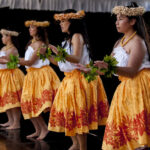 Representative Image. A captivating traditional Hawaiian dance performance. Photo Source - US Embassy (PDM 1.0)