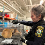 Animal rescue officer saves cats. Photo Source: The SPCA Serving Erie County, NY (Facebook).