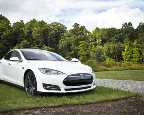 Representative Image. White Tesla Model S park on the green grass. Photo Source: Pickpik.com