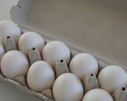 White eggs in a carton. Photo Source: Marina Shemesh (CC BY-NC 2.0)