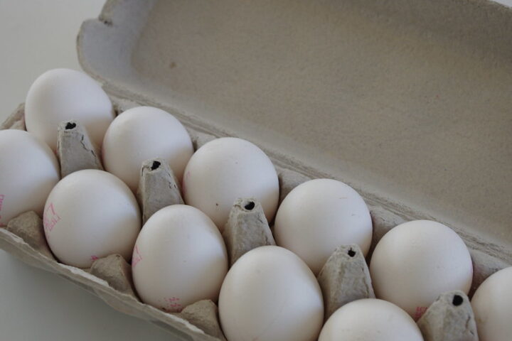 White eggs in a carton. Photo Source: Marina Shemesh (CC BY-NC 2.0)