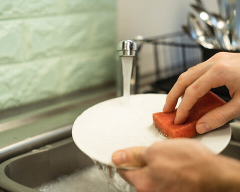 Representative image. Cleaning the Dishes - Washing a Plate. Photo Source: Ryan Lee (CC BY 2.0).