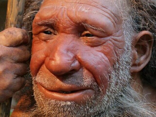 Neanderthal Genetic Diversity Plummeted 110,000 Years Ago