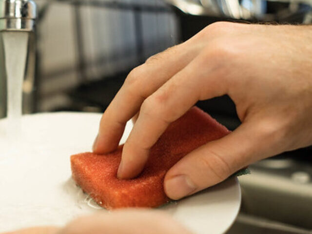 Representative image. Cleaning the Dishes - Washing a Plate. Photo Source: Ryan Lee (CC BY 2.0).